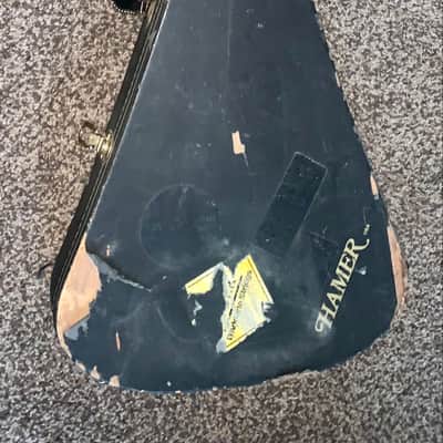 Vintage 1980’s Hamer USA  Guitar hardshell case  for Flying V vector image 11