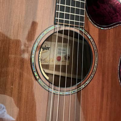 Taylor 914ce Builders Edition 2025 W. LR Baggs Anthem + OHSC image 2