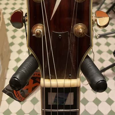 Ibanez PM2 AA Pat Metheny c/astuccio image 2