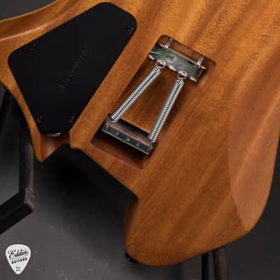 Strandberg Boden Prog NX6 Plini Edition #C2505183 image 11
