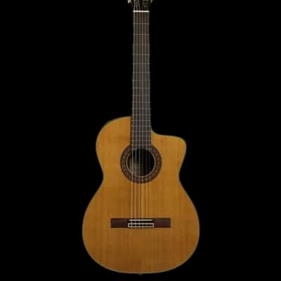 Takamine EC132SC Solid Cedar Top Classical Acoustic / Electric Guitar-Gloss Natural image 2