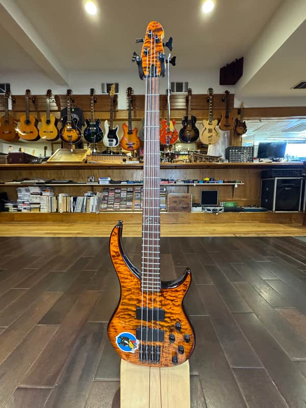 Peavey Cirrus 4 Active with Rosewood Fretboard 2010s - Tiger Eye image 1