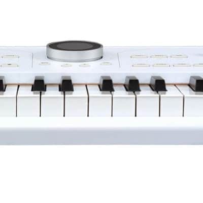 ARTURIA ASTROLAB 61 : B-STOCK : [DETROIT MODULAR] image 3