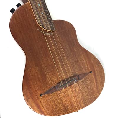 Immagine Rick Turner Renaissance RB4 Studio Special Fretless Bass 2016 Satin Mahogany - 1