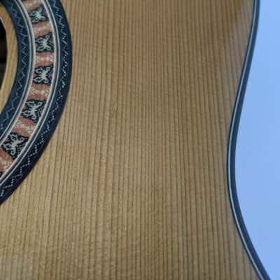 Classical Spanish Acoustic Hofner (Höfner) Guitar HZ-26 image 7