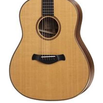 Taylor 717eV Builders Edition GP Natural image 1