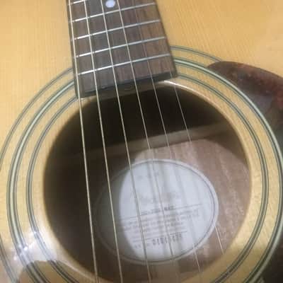 Fender DG -20 S NAT Guitar/w original Case- Korea made | Reverb