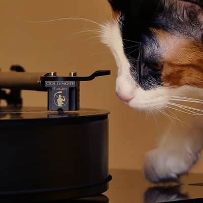 GOLD NOTE Tuscany Gold MC Phono Cartridge - NEW! image 5