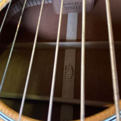 Martin D16 Left handed with rusty-hard-case image 9