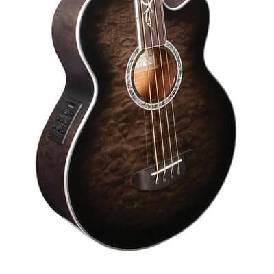 Michael Kelly Dragonfly 4 Fretless Acoustic Bass with Smoke Burst Finish image 3