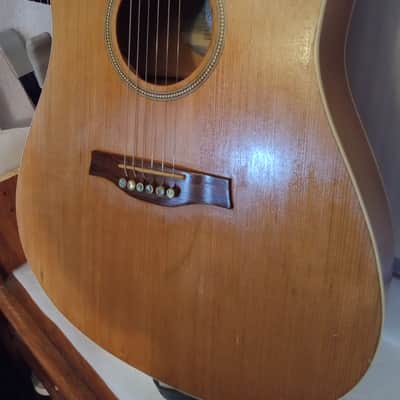 Seagull Entourage Dreadnought 2018 - Autumn Burst image 12