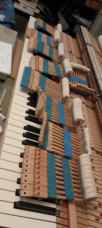 Steinway B Grand Piano Hammers and Shanks image 1