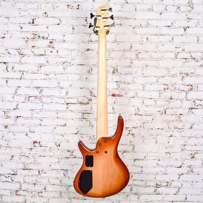 Roscoe Guitars - Keith B Roscoe Standard 5 String Bass, Sunburst Flame - w/Bag - x0037 - USED image 8