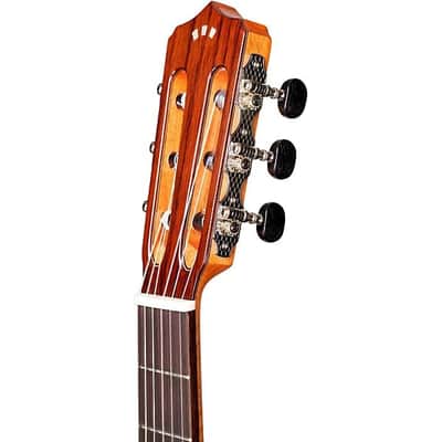 Cordoba C9 Crossover Nylon-String Acoustic Guitar w/ Case image 9