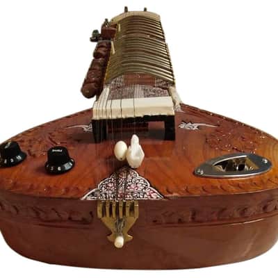 Naad Musical Electric Travel Sitar String Instrument With Bag image 4