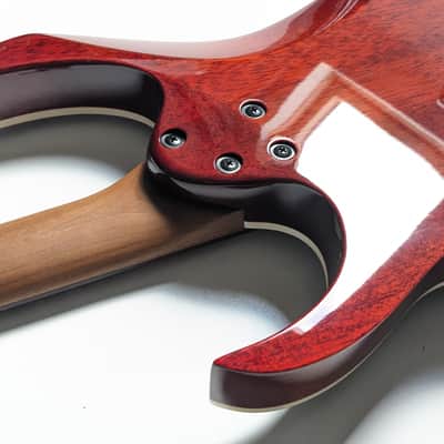 Ibanez RG421HPAH-BWB Standard 2023 image 19