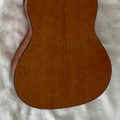 Greystone Road Trip Mini Acoustic Guitar with Gigbag image 9