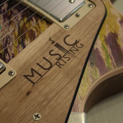 Gibson Les Paul Music Rising 2005 Katrina image 2