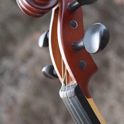 John Juzek 85 Violin Outfit with Case and Bow 4/4 size - Shaded Amber/Tobacco Brown Matte image 21