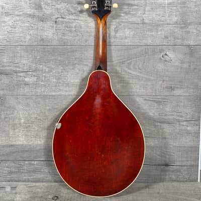 Gibson A-3 Mandolin 1919 - Ivory Top image 5