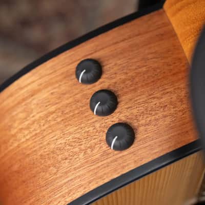 Taylor 110ce Dreadnought Acoustic/Electric Guitar - Solid Torrefield Spruce with Gig Bag image 9