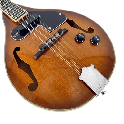 A-Style 8-String Acoustic-Electric Mandolin with Built-In Pickup, Gig Bag & Accessories image 7