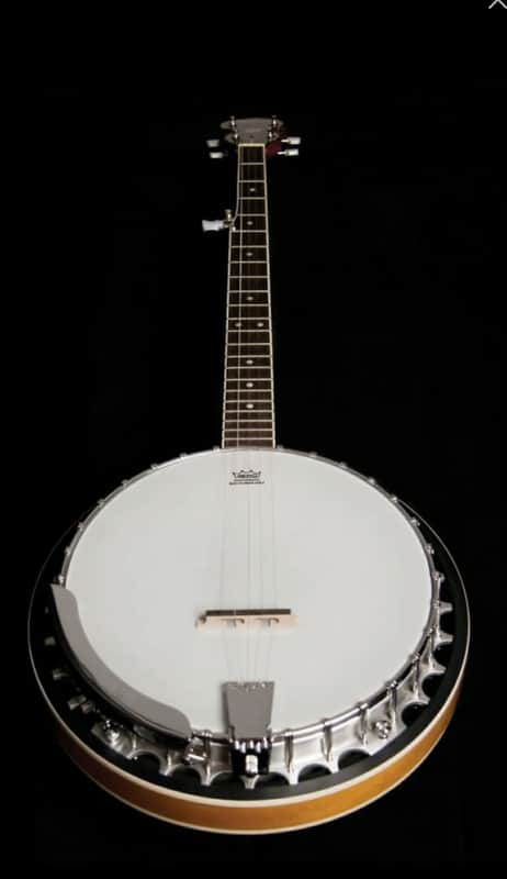 Washburn B9 Americana Series (5 String) Banjo. Sunburst image 1