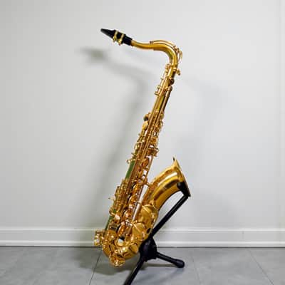 Eb Alto Saxophone with F# Key, Gold Lacquer | Intermediate Student Alto Sax Kit with Case, Stand & Accessories image 3