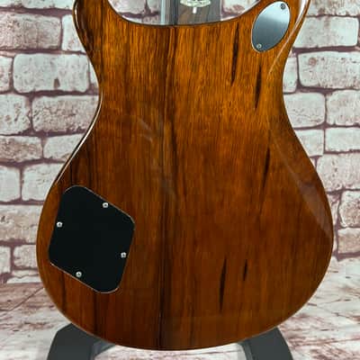 PRS McCarty 594 Semi-Hollow Private Stock Rainforest Glow image 17