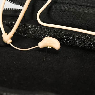 Samson SE10 Earset Microphone with Condenser Capsule & Accessories CG011AR image 5