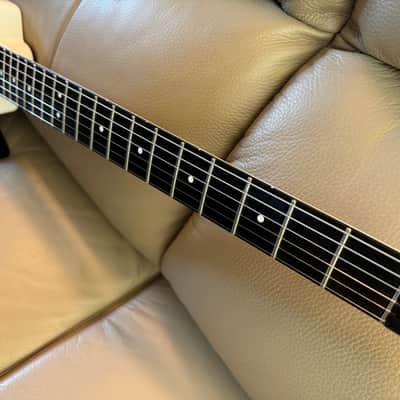 RARE!!! Steinberger GL-4T-GR with Transtrem Type II, plug in leg rest, 24 to 13 pins converter, modded Roland GM-70, 24pins cables, 24pins dust cover image 5