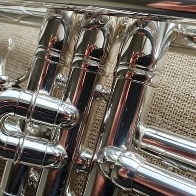 D. Calicchio DT-S1s/3M Dave TRIGG Model | Gamonbrass trumpet image 7