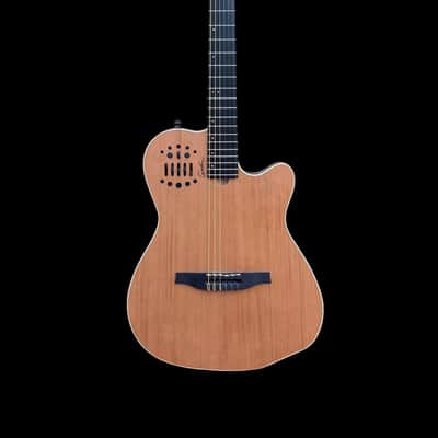 Godin Godin ACS-SA Slim Nylon image 3