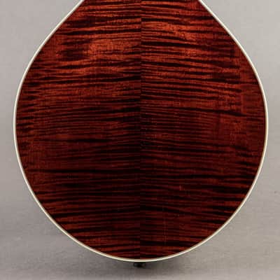 Collings MT2 O 2024, Cream Gloss image 7
