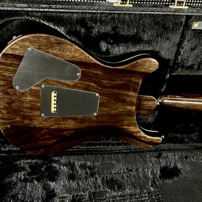 PRS Special 22 Semi-Hollow Private Stock image 21