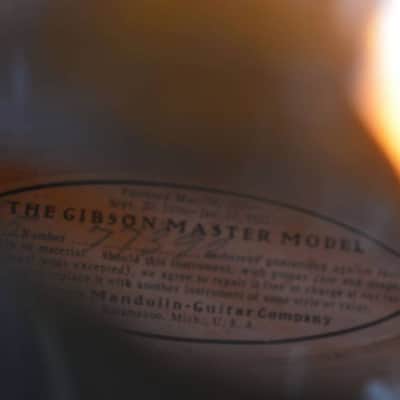 Gibson L5 Lloyd Loar Signed 1924 with Virzi image 7