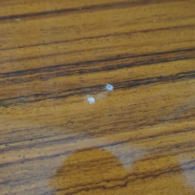 Pearl PF-770 71-72 - Natural Acoustic Guitar Rare image 21