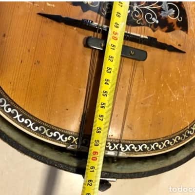 Bruno Klemm. Mandolina. Year 1890 Mandolin. image 15