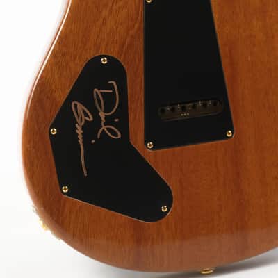 PRS Whale Blue DGT Owned by David Grissom image 13