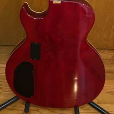 Washburn Washburn SBF-80 Electric Acoustic image 5
