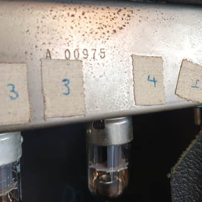 Fender Vibro champ 1964 - Black image 7