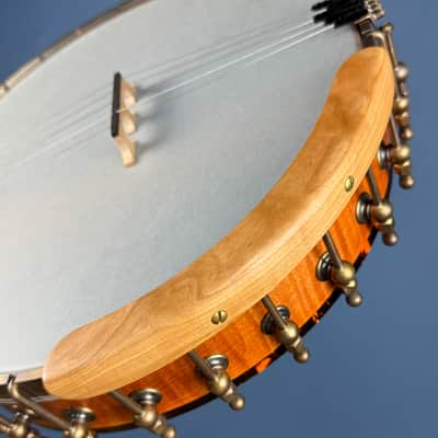 Ode Magician 5-String Openback Banjo 12 inch Cherry image 21