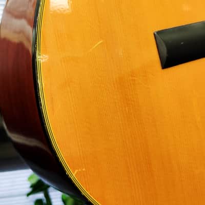 Enrique Tapicas C40 Cadiz Classical Guitar by Washburn - Natural image 18