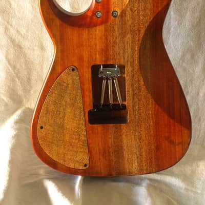 Bhakatt Double Cut 2026 - Body Polyurethanes neck oil finish, beautiful figure wood image 12