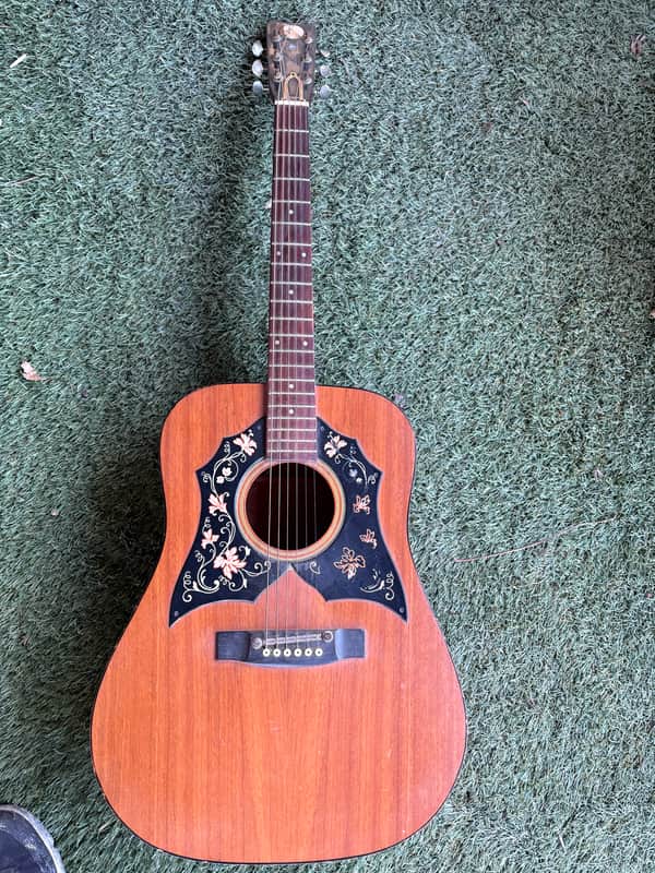 Kay KDG70 1970s Double Pickguard Acoustic Guitar MIJ made in Japan image 1