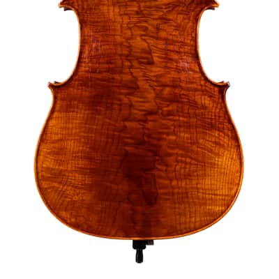 Goffriller Cello 4/4 from One Piece Back - Hand-Made in Romania 2025 #78 image 4