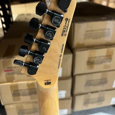ESP LTD M-200FM Electric Guitar - See Thru Black image 6