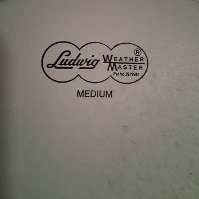 Ludwig 14" Weather Master 2000's - Coated image 1