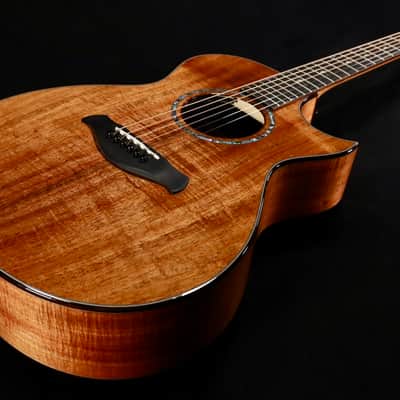 Taylor 2026 Catch Custom #41 C22ce Tasmanian Blackwood image 2