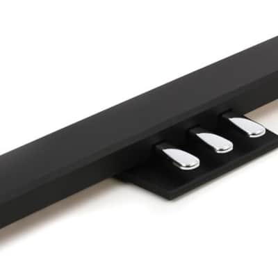 Roland KPD-90 Pedal Unit for FP-90 & FP-60 Digital Pianos - Black (KPD90BKd1)